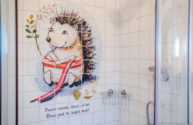 Dimineți în Cerdac Piatra Neamț