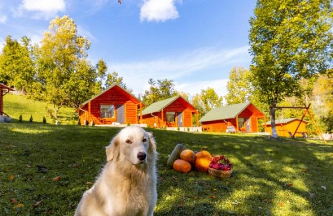 Complex Turistic Traisteni Valea Doftanei