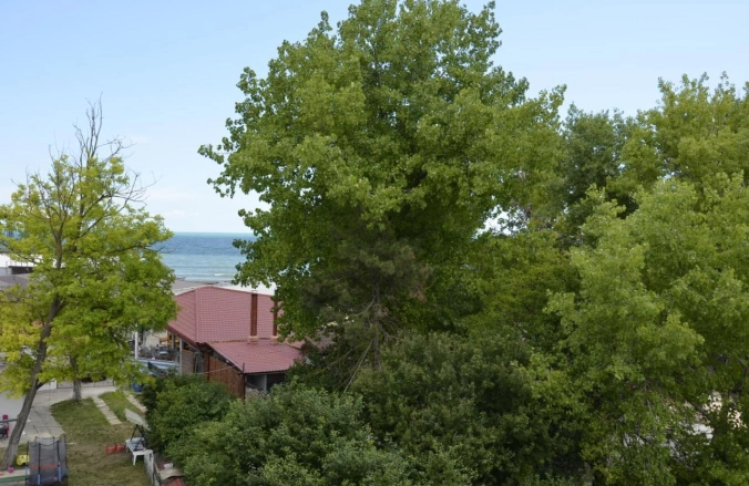 Hostel Perla Costinești