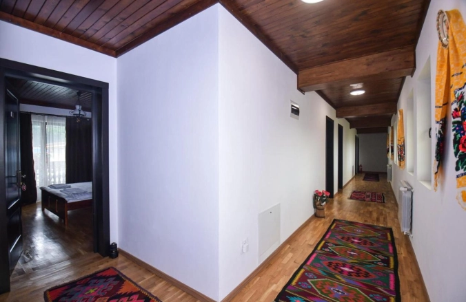 Pensiunea Piatra Șoimului