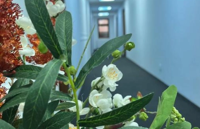 Hotel Europa Ocna Mureș