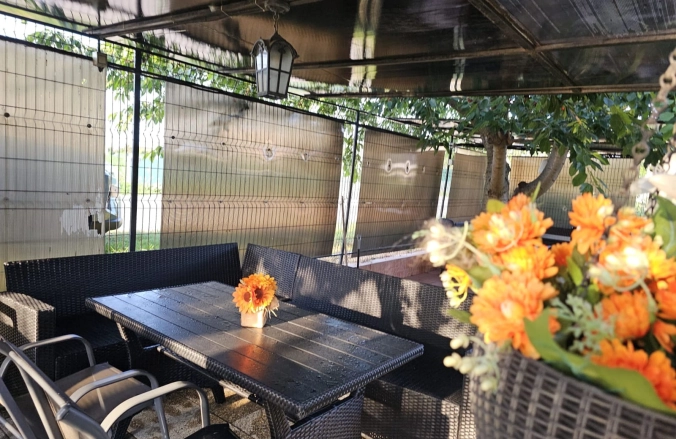 Vila Sofia Costinesti