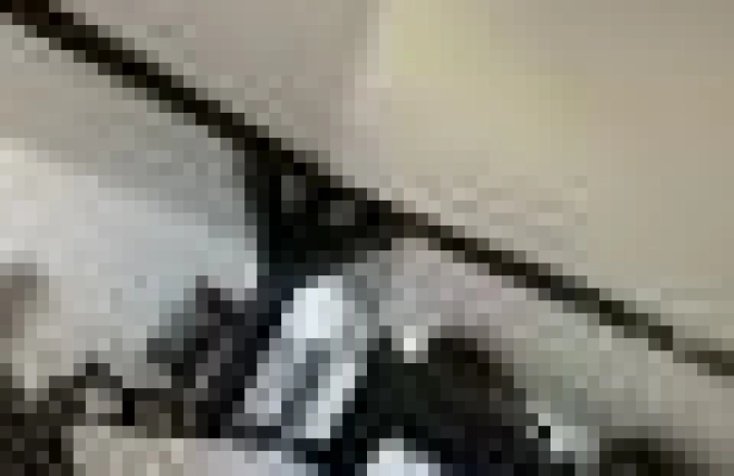 Odaile Brâncovenești - Măldărești